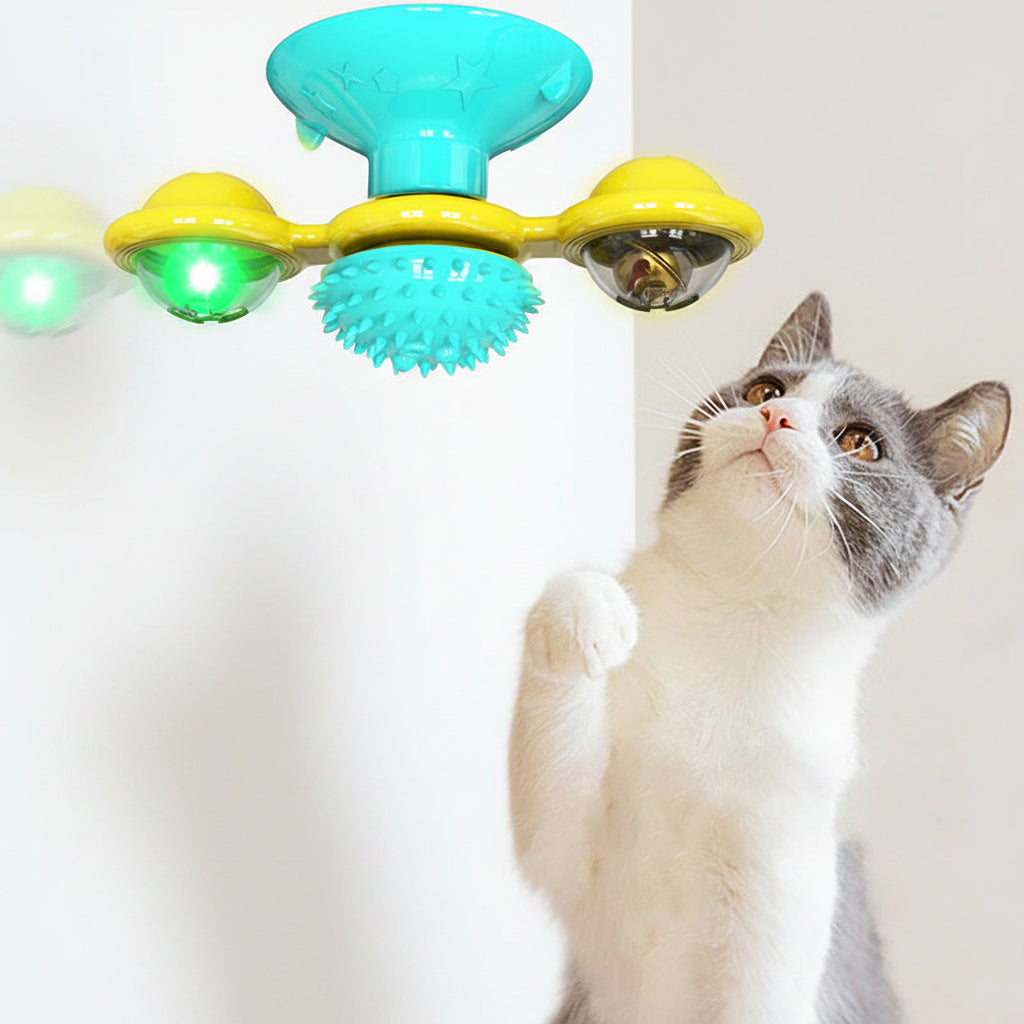 Cat playing with a colorful toy featuring green and yellow elements on a white background