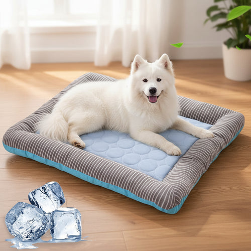 Dog lying on a cool gel pad with ice cubes and leaves in the background