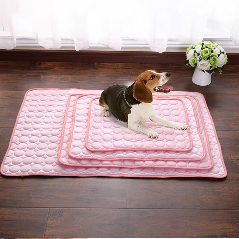 Dog lying on a pink quilted mat in a room with a vase of flowers.