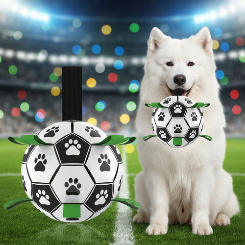 Dog toy resembling a soccer ball with paw prints and a dog wearing a matching collar.