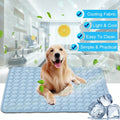 Dog lying on a cooling pad with features highlighted in blue boxes.